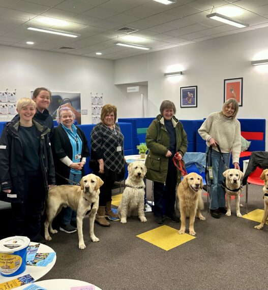 Paws for cause: Empowering communities with Guide Dogs for the Blind Association  
